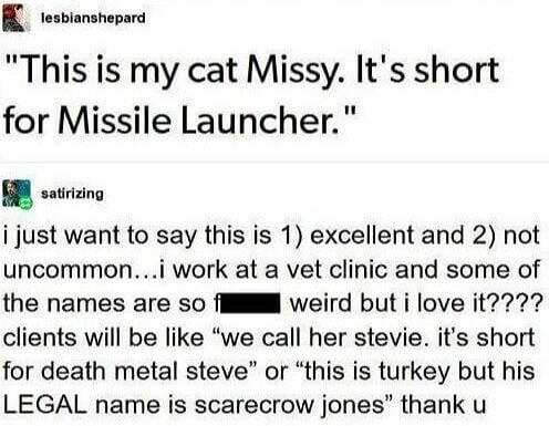 Save The Weird Names For Pets