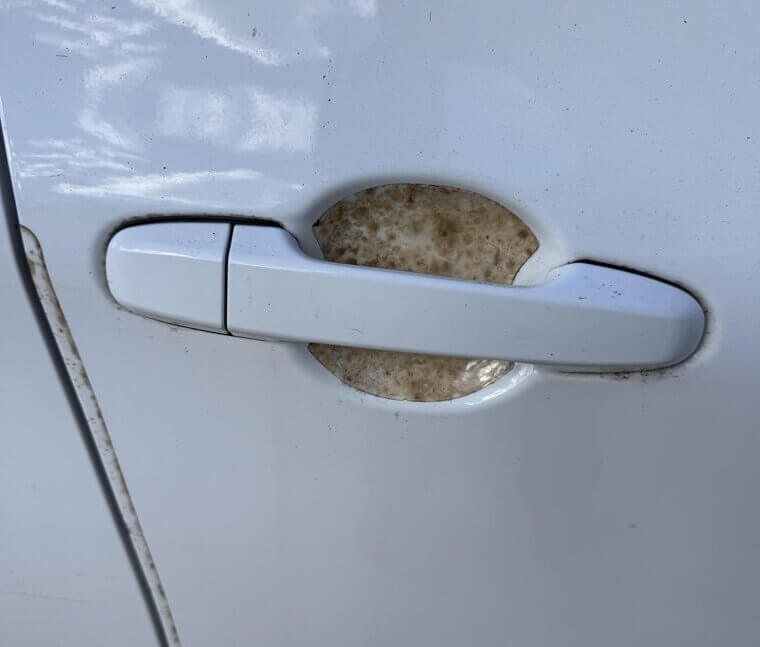 Door Handles (Inside and Outside)