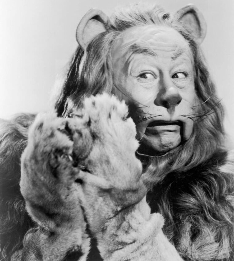 The Lion Cub Elphaba and Fiyero Rescued Eventually Becomes the Cowardly Lion in the Wizard of Oz