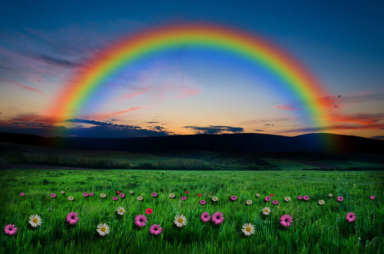 The Birds and Rainbow Behind Elphaba in "The Wizard and I" Are a Reference to "Somewhere Over the Rainbow, Bluebirds Fly"