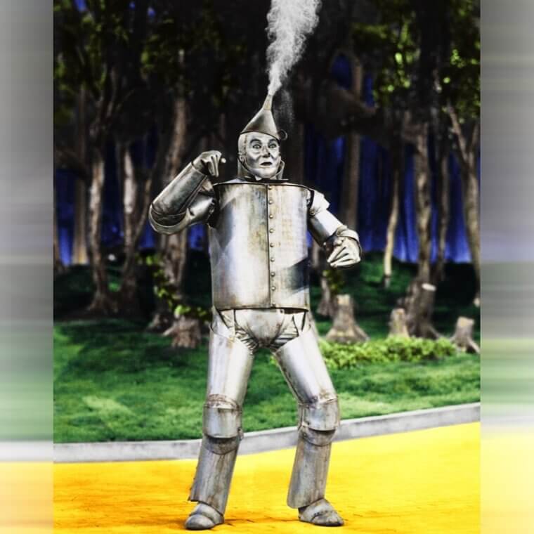 Throughout the Film, There Are Hints That Boq Will Eventually Turn Into the Tinman
