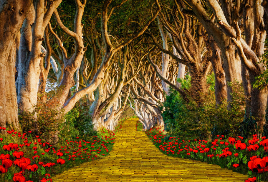 Hidden Details and Easter Eggs Many People Missed in Wicked