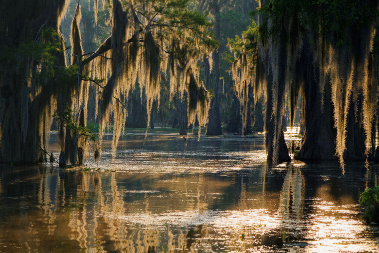 14. Louisiana: Deep Cultural Roots and Warm Weather With High Humidity