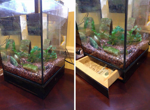 A Hiding Place Under The Fish Tank