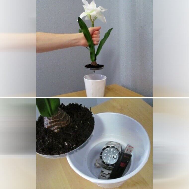 A Secret Compartment In A Potted Plant