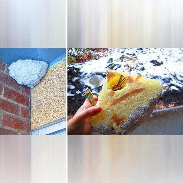 Who In Their Right Mind Would Ever Think To Look There?