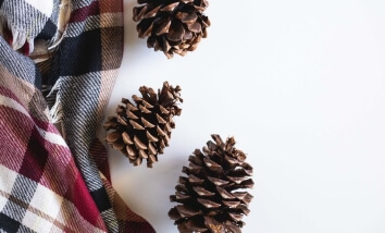 Pinecone Decorations