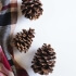 Pinecone Decorations
