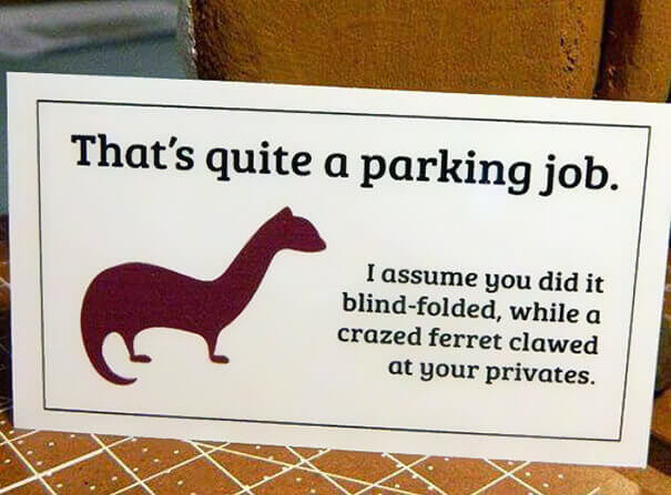 You Must Have Parked Blind-Folded, Pal