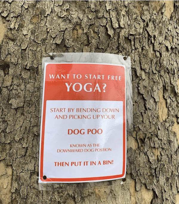 Yogis Mean Business