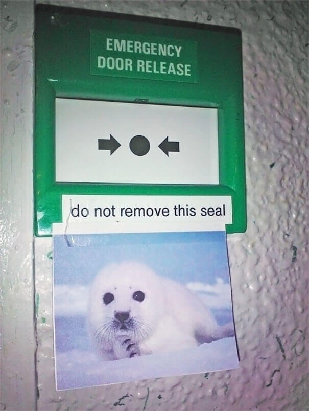 A "Do Not Remove Seal" Tag Gone Wrong