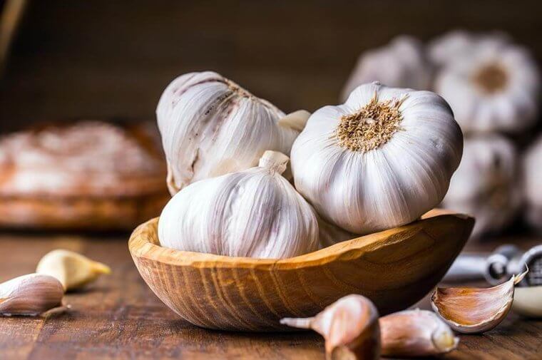 Garlic Bulbs: Refrigeration Triggers Sprouting and Causes a Rubberized Texture
