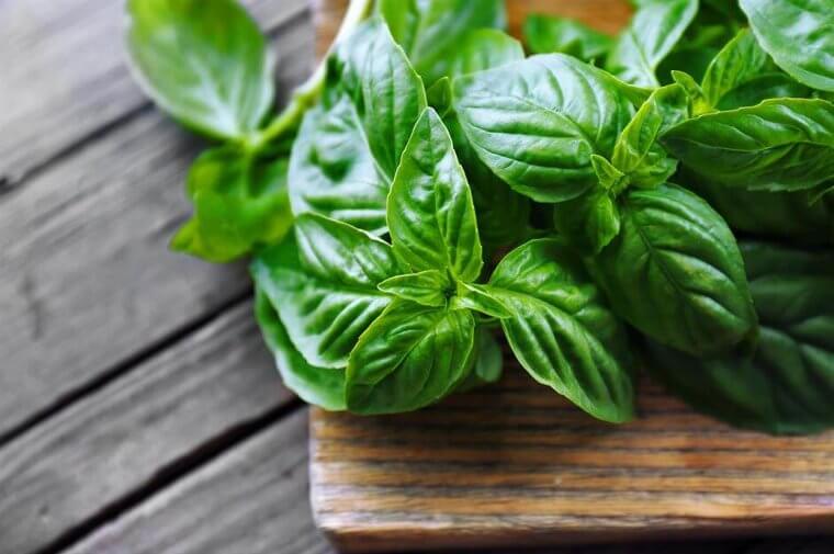 Soft, Fresh Herbs: Cold Air Wilts the Delicate Leaves and Causes Them to Absorb Unwanted Fridge Odors, Stripping Away Their Bright Fragrance