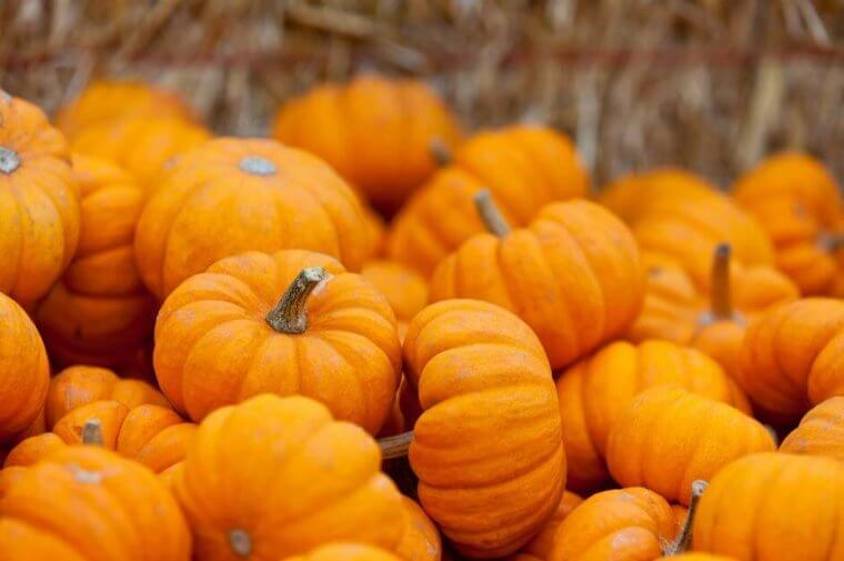 Whole Pumpkins: Cold and Damp Shelving Can Soften the Rind and Lead to Premature Rotting
