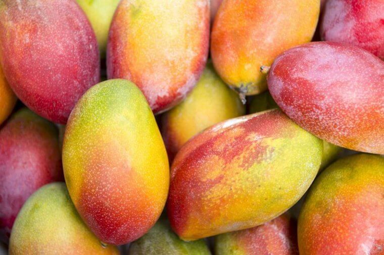 Whole Mangos: Frigid Temperatures Stop the Ripening Process and Can Result in Pitted or Chilled Skin