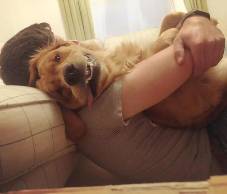 Woran du erkennst, ob dein Hund dich liebt