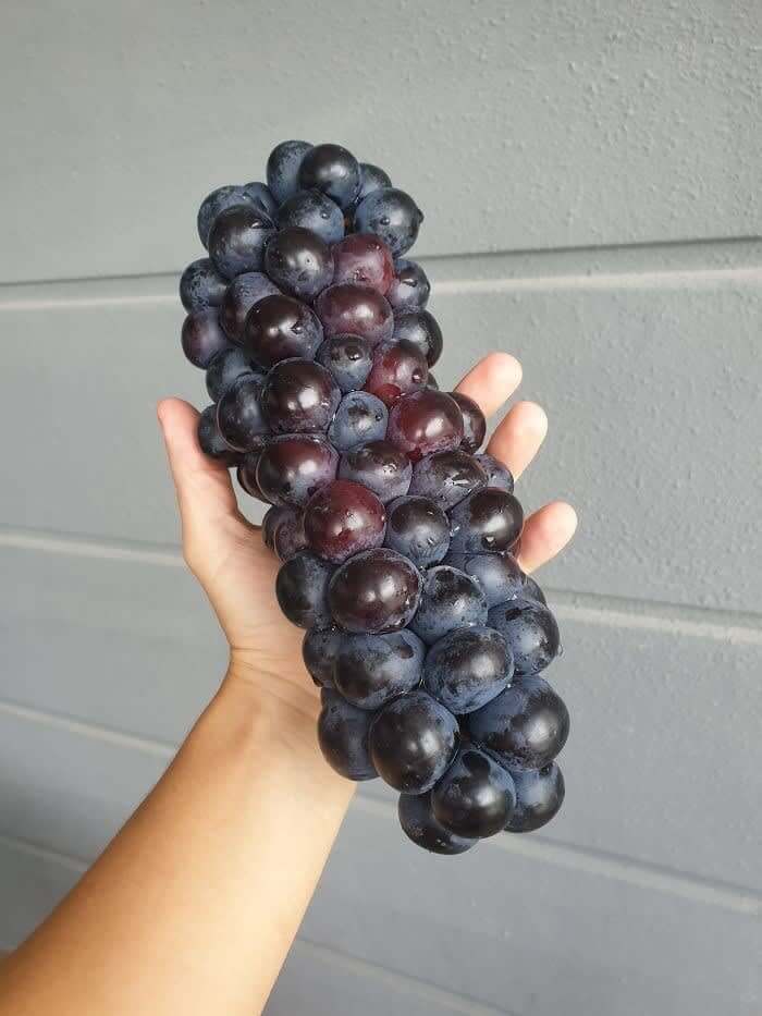 Instead Of Corn On The Cob, It's Grapes On The Cob