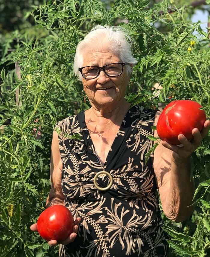 Nonna And Her Giant Tomatoes
