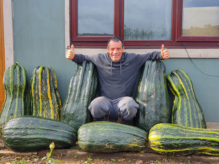 The Giant Zucchinis Are Taking Over