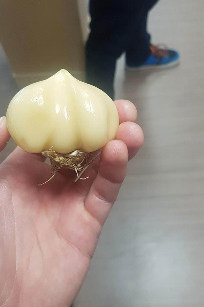 "One Clove Of Garlic Is the Perfect Amount"
