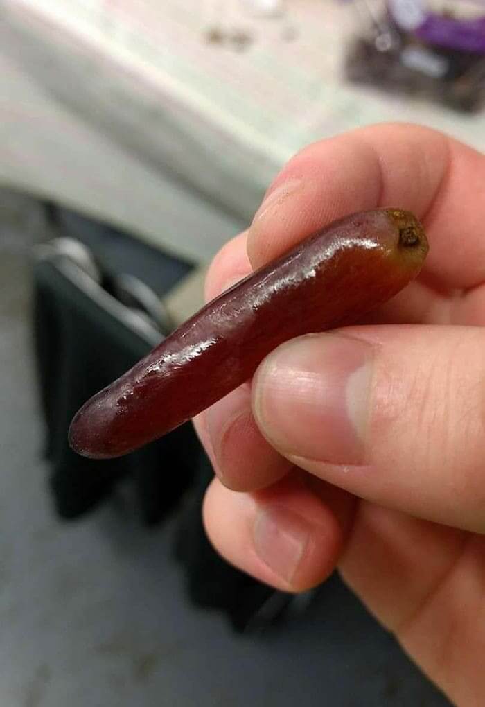 Sausage Grape
