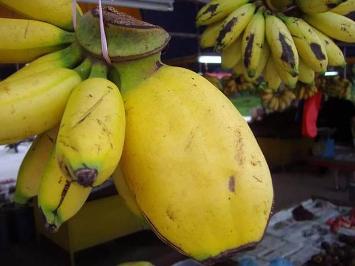 A Banana's Impression Of A Mango