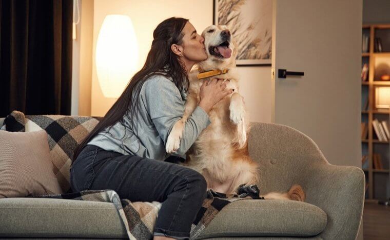 The Golden Retriever Just Wants to Help