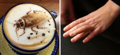 42 People Who Perfectly Executed Their Awful Ideas