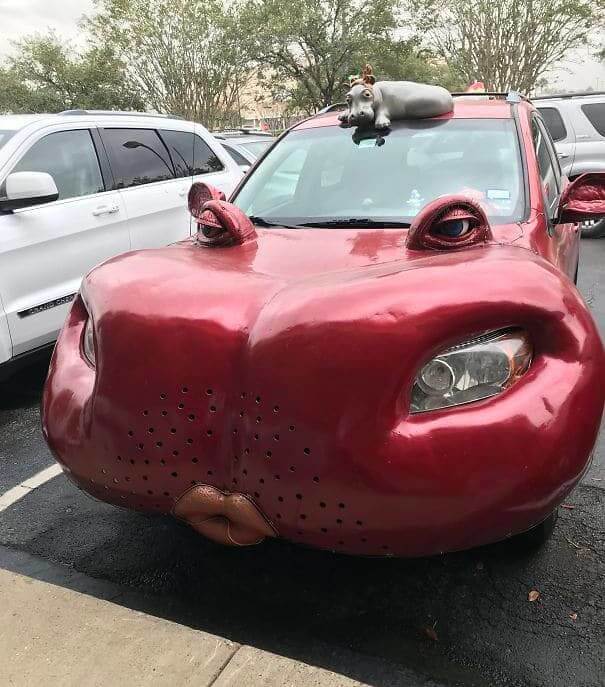 Viajando Con Moto Moto