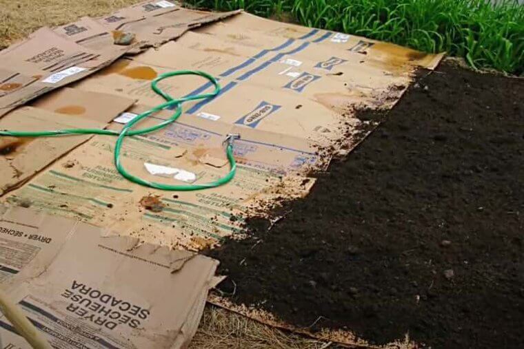 Cardboard For Stopping Weeds