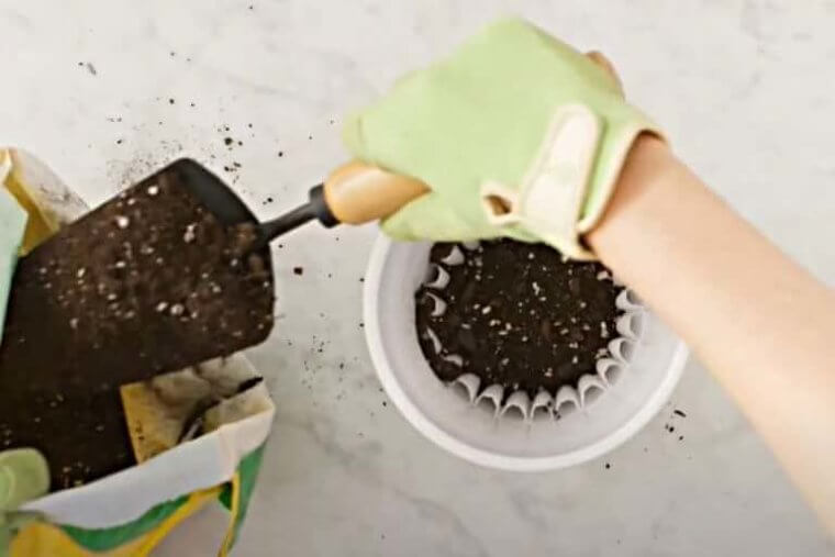 Filtering Out The Dirt
