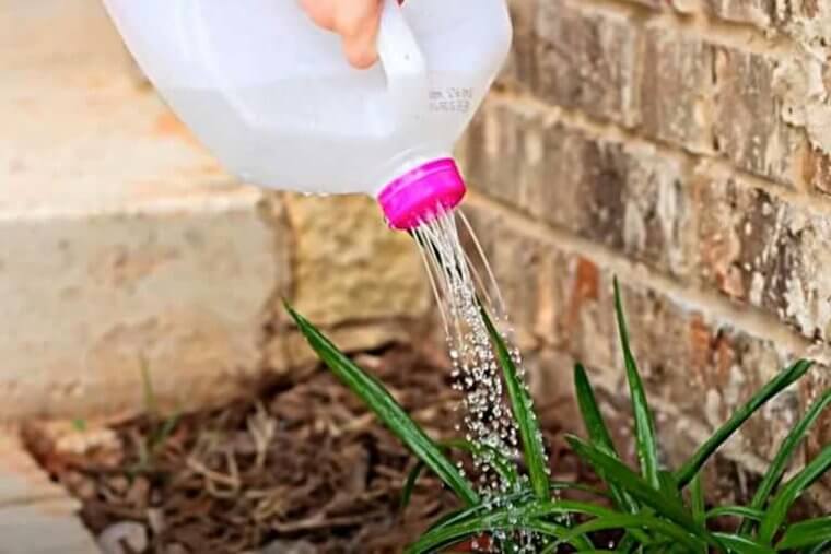 DIY Watering Can