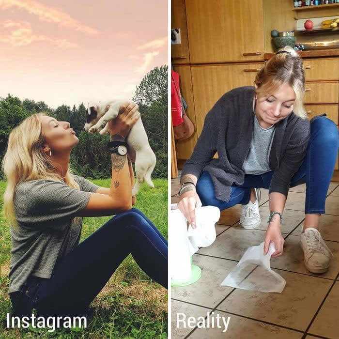 Como É  Ter Um Cachorro No Instagram X Na Realidade