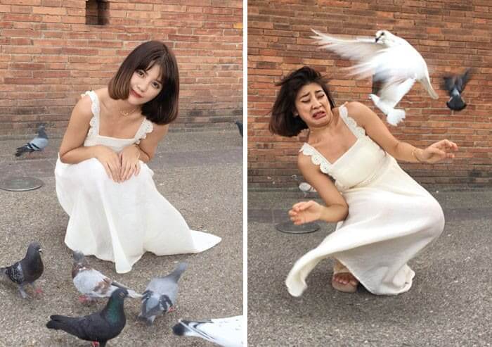 When Birds Don't Cooperate