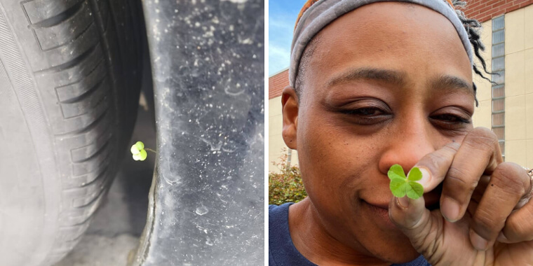 Out of All the Places a Four-Leaf Clover Can Grow