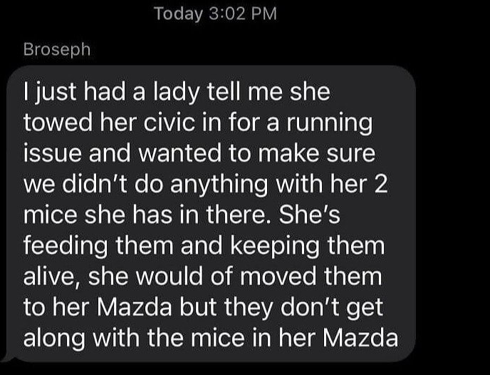 The Mice in Her Civic Don't Like the Mice in Her Mazda