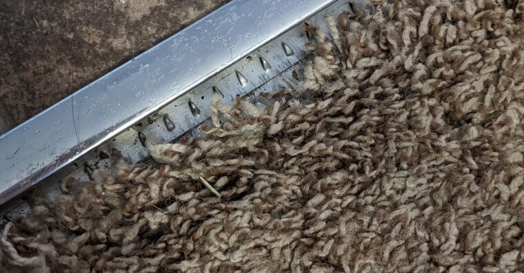 DIY Carpet Installation