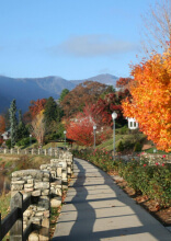 Experts Predict These States Will Be Top Retirement Spots in 10 Years