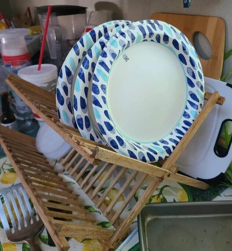 Paper Plates Aren't For Everyday Use