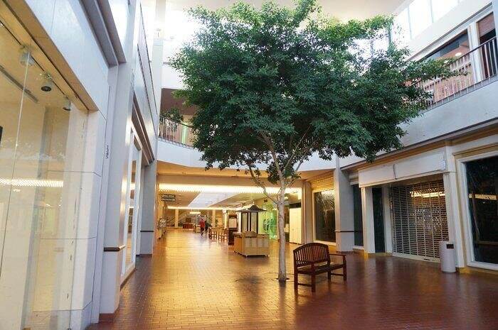 Indoor Trees and Aviaries