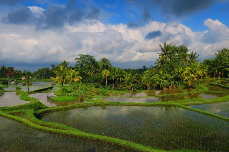 Bali (Ubud), Indonesia