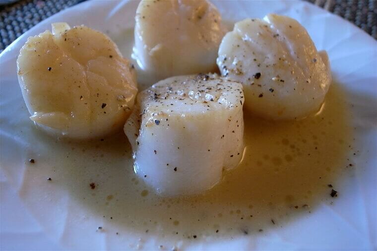 Scallops