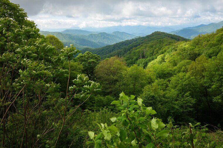 Asheville, North Carolina