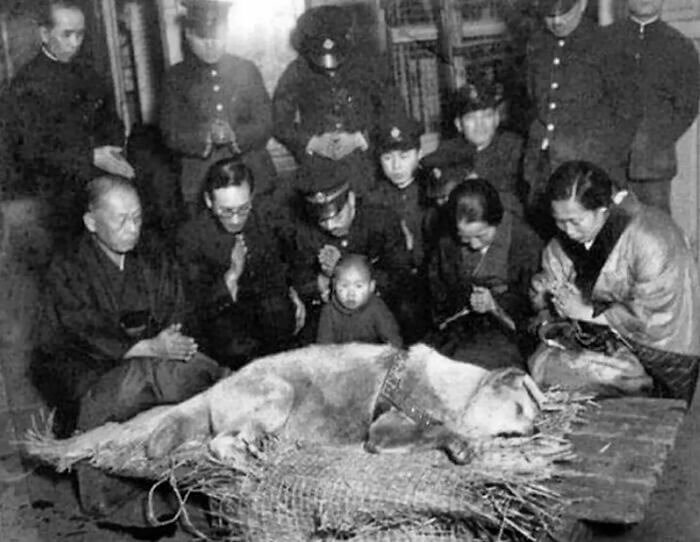 Memorial para Hachiko o cão, um herói nacional