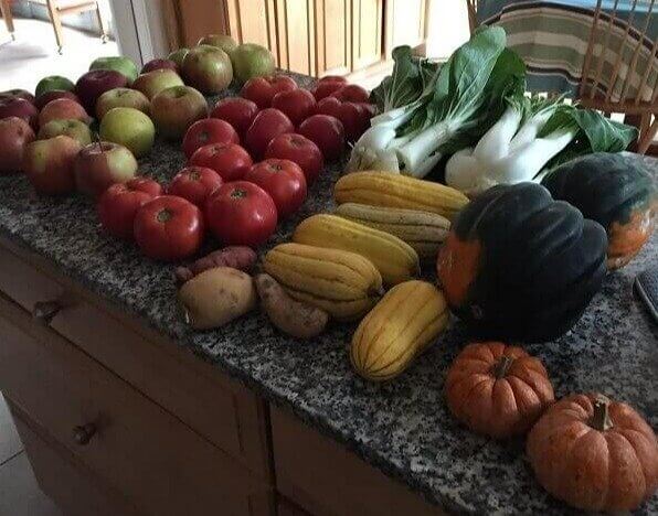 Peça os produtos "danificados" e ganhe frutas e legumes de graça