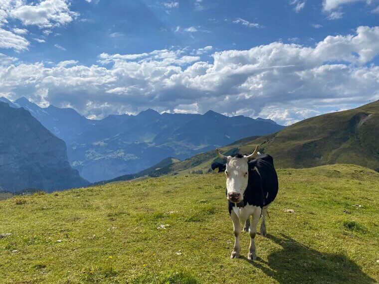 #19. Switzerland