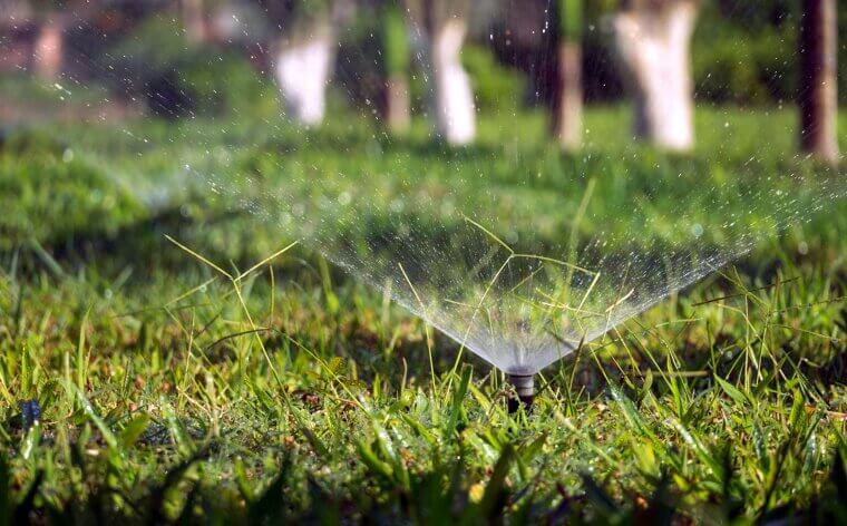 Watering Lawns Excessively
