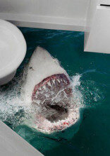 These People Redesigned Their Bathroom And Didn't Think It Through