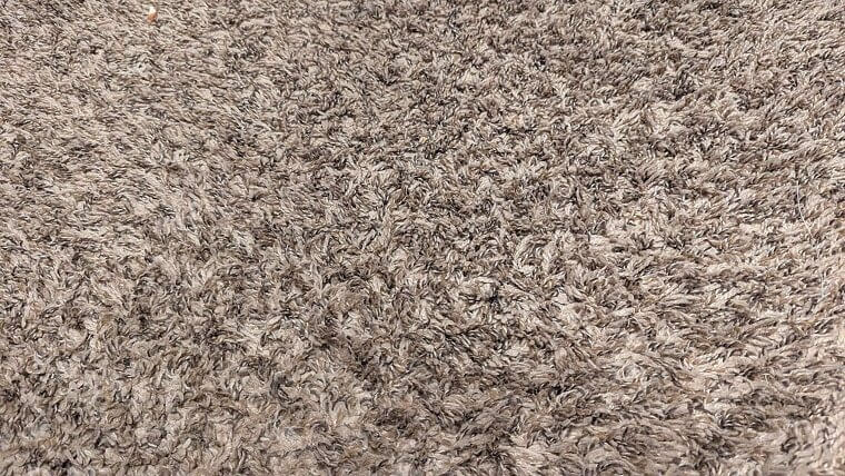 The Deep-Pile Shag Carpet Swamp