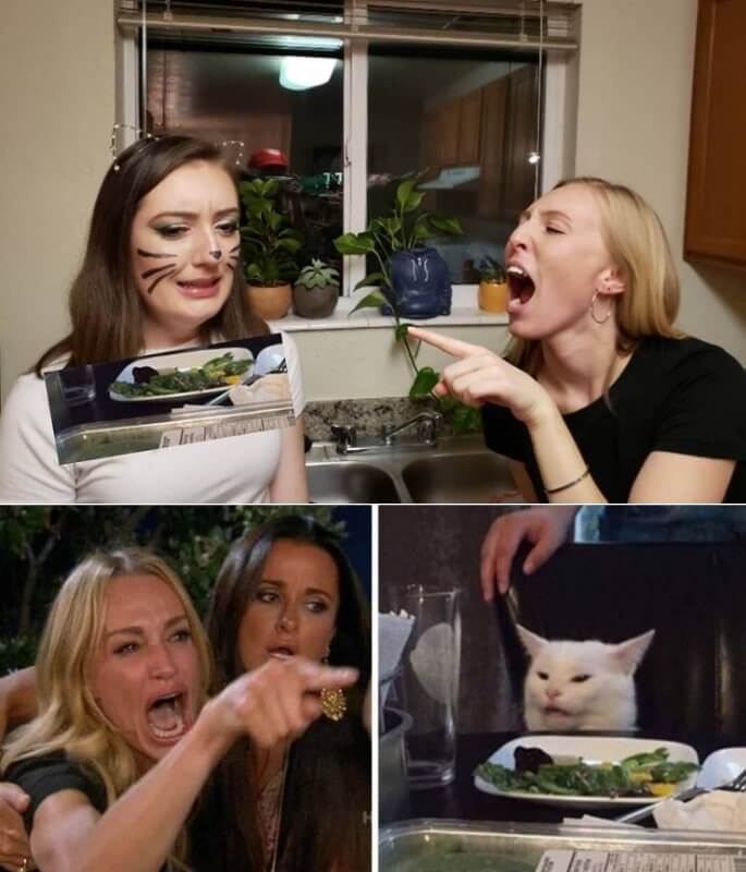 Woman Yelling At A Cat